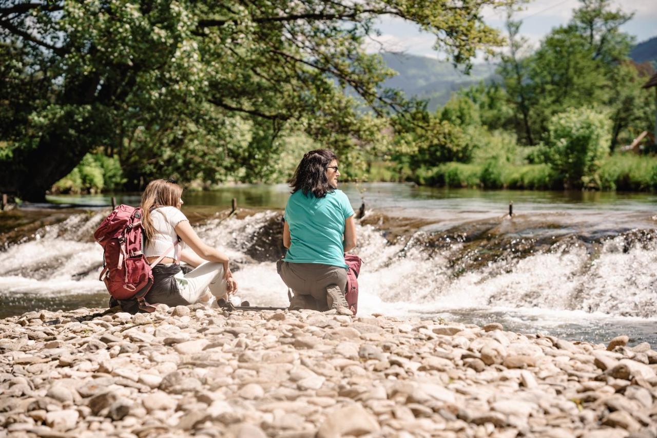 Wellness Pension Am Rain Winden im Elztal Buitenkant foto